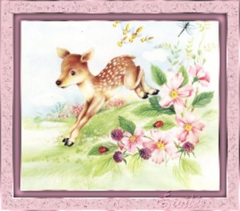 Image cerf